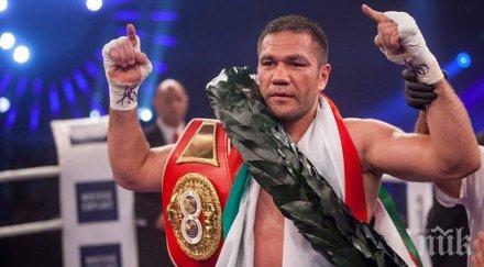 кличко кобрата ясно пари