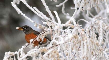 чудо сняг юни затрупа естония