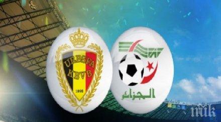 вижте съставите белгия алжир мболи титуляр