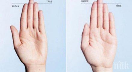 дължината пръстите показва дали сме сексуално разюздани