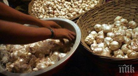 американски учени обясниха лошия дъх ядене чесън