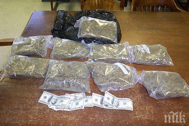 Арестуваха 200-килограмов, скрил марихуана в коремните си гънки