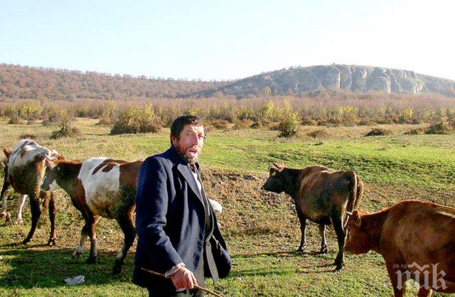 Кравар откри мъж в безпомощно състояние във Монтанско