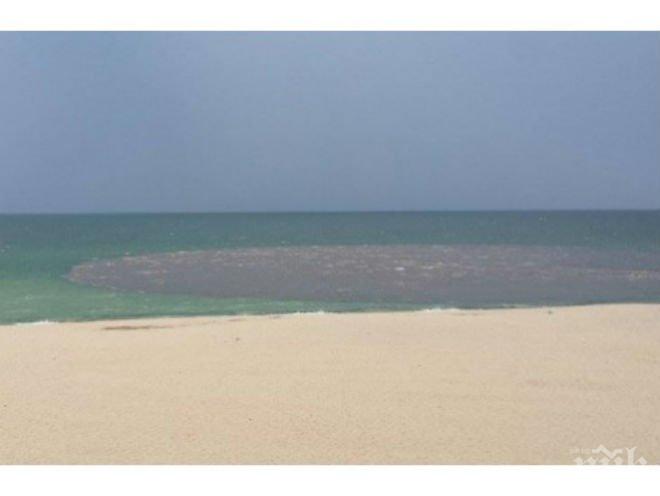 Летовници в шок: Огромно кафяво петно се появило в кристално чистото море