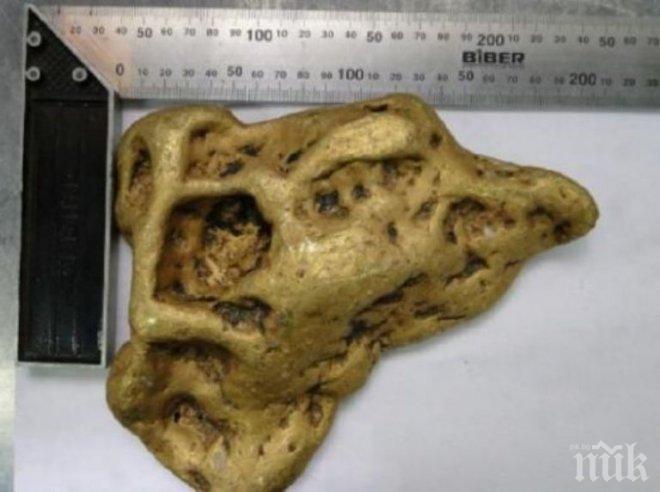 Зловещо! Откриха златното Ухо на дявола в петък, 13-и, тежи  6,66 кг