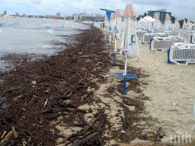 Плажът в Слънчев бряг се напълни с боклуци