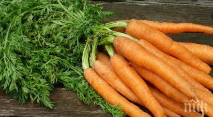 морковите крият ключа побеждаването рака