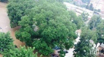 откъде появи заливната вълна аспарухово експертното мнение