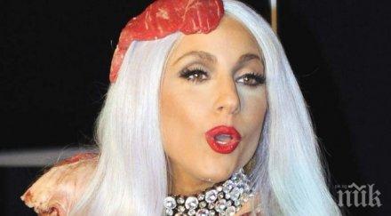 лейди гага невинна плагиатство