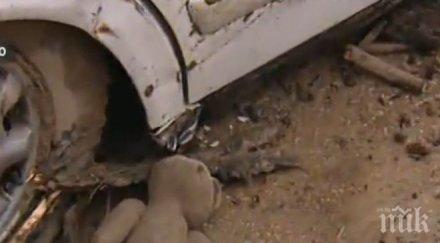 потопа разруха проблеми издирват изчезнали хора водата става пиене започва мащабно разчистване