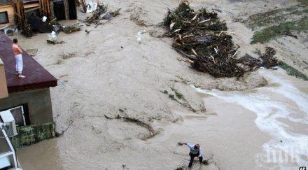 бабх удавените животни изгарят екарисаж зарази