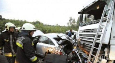 петима младежи загинаха зверска катастрофа сад