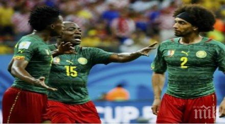 камерунците сбиха помежду видео