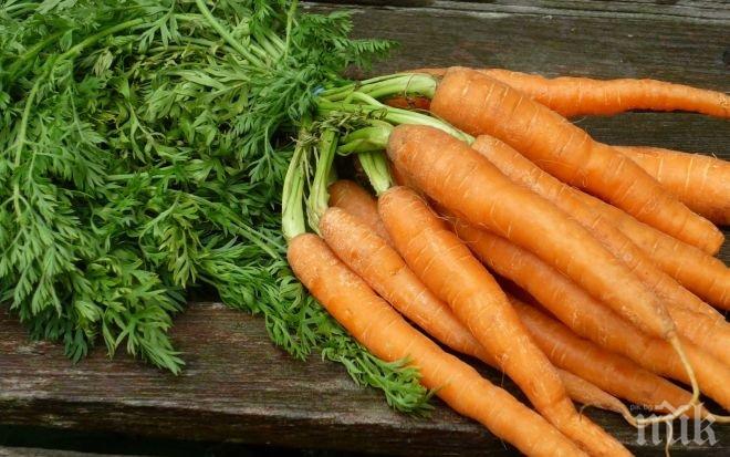 Морковите крият ключа към побеждаването на рака