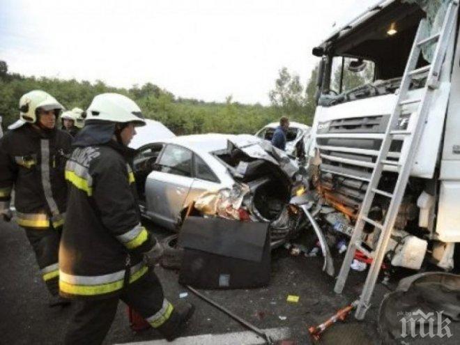 Петима младежи загинаха в зверска катастрофа край Нови Сад
