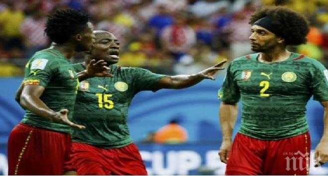 Камерунците се сбиха помежду си (видео)