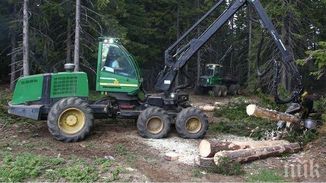 Мъж загина, затиснат от дърво, в Първомай