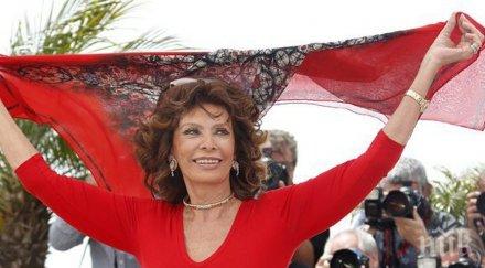 сензация софия лорен била любовница джон кенеди