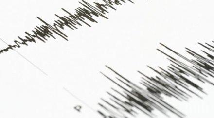 пороите рихтер разтърси плевен