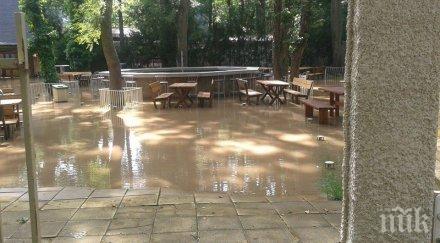 почистиха хотелите ресторантите албена