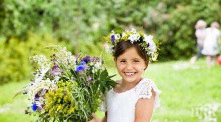 асеновград пресъздава обичая калиници еньовден