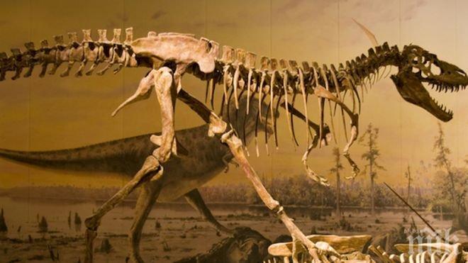 Откриха цели скелети на динозаври в Сибир