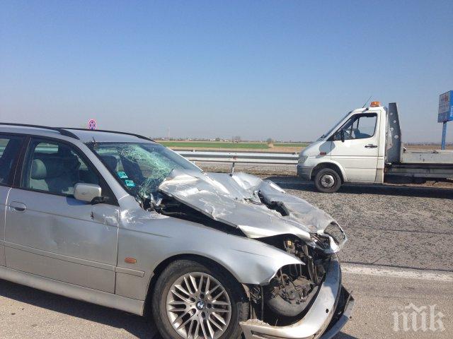 Един загина по пътищата през изминалото денонощие