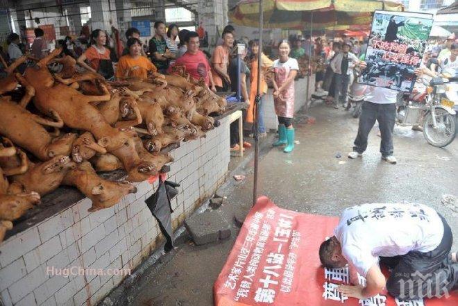 10 000 кучета изядени по време на фестивал в Китай