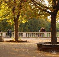 В Борисовата градина предлагат безплатен слънчев ток