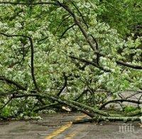 СТИХИЯ: Наводнения, спряно електроподаване и паднали дървета в Сливенско след проливен дъжд
