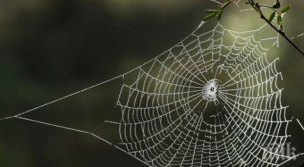 бронираните жилетки войниците започват произвеждат паяжина