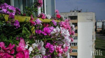 столична община предупреждава приберете всичко прозорците балконите