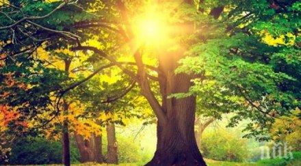 шок десетилетия климатът българия промени драстично