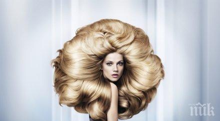 училище фризьорство l’oreal подарява отстъпка