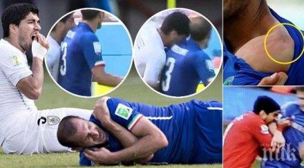 британските медии вампирът завръща път суарес отхапа голяма хапка отколкото преглътне