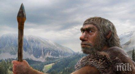 разкриха яли неандерталците