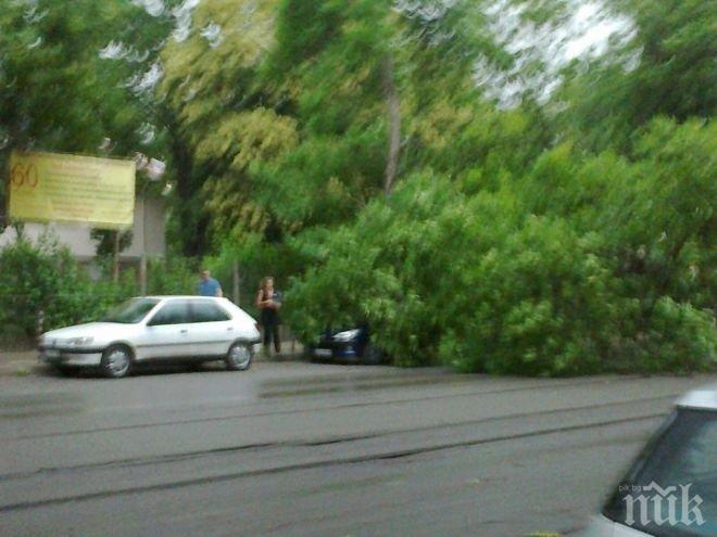 Метеоролог от БАН пред ПИК: Идват нови мощни бури и гръмотевици, в петък става страшно!