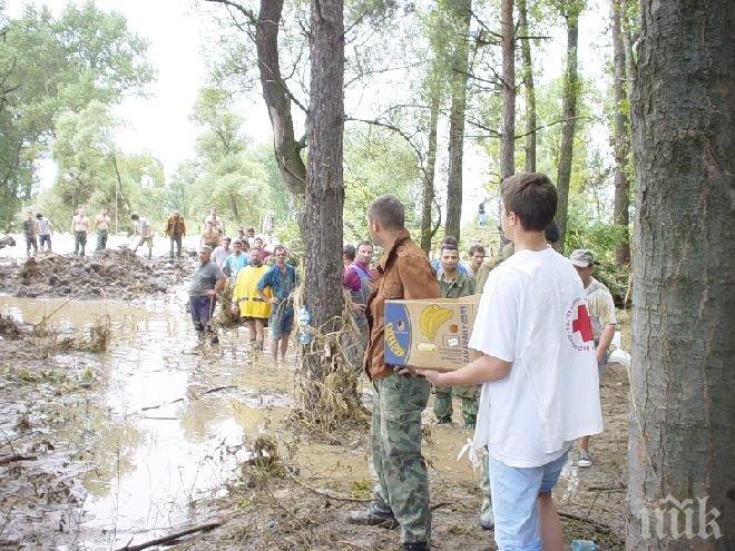 Инициативата Осинови доброволец стартира в Добрич
