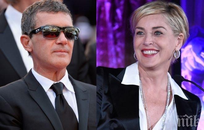 Нова холивудска двойка? Антонио Бандерас залюби Шарън Стоун