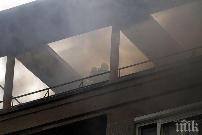 Жена пострада в пожара край парка Заимов! Огнеборци изгасиха стихията за 1 час (снимки и видео)