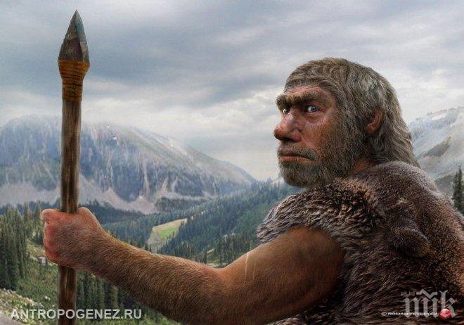 Разкриха какво са яли неандерталците