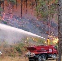 Голям пожар бушува в Анталия и застрашава туристите