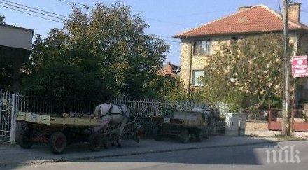 цигани превърнаха тротоари поморие паркинг каручки снимки