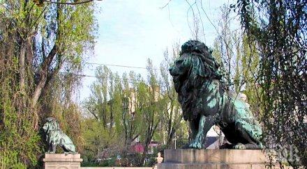 сага лъвов мост граждани алармират умишлено разрушена римска стена