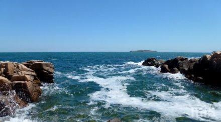 черно море чисто микроби почвата дебне антракс