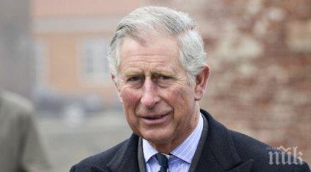 британският принц чарлз оказвал натиск министри