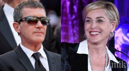 шарън стоун проговори отношенията антонио бандерас