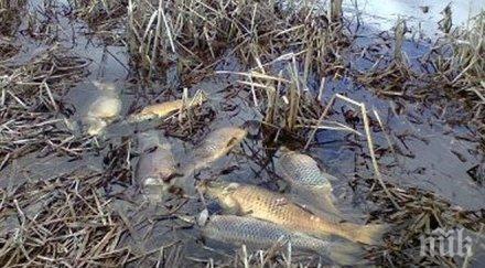 опасност нов воден микроязовирите пазарджишко прелеят порой