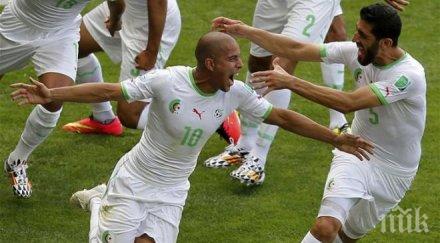 запалянковци избиха катастрофи радост