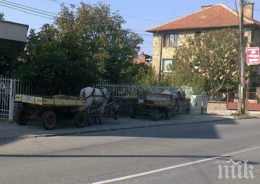 Цигани превърнаха тротоари в Поморие в паркинг за каручки (снимки)
